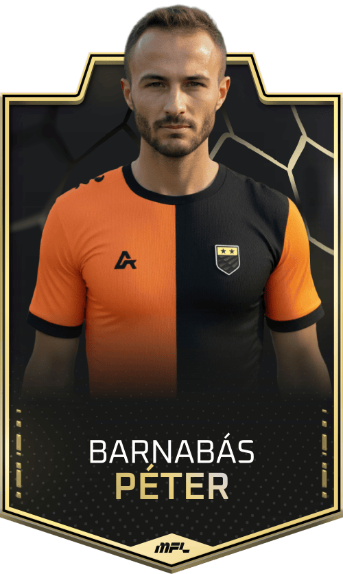 Barnabás Péter asset