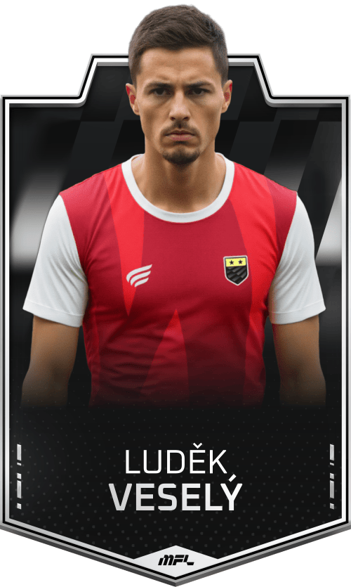 Luděk Veselý asset