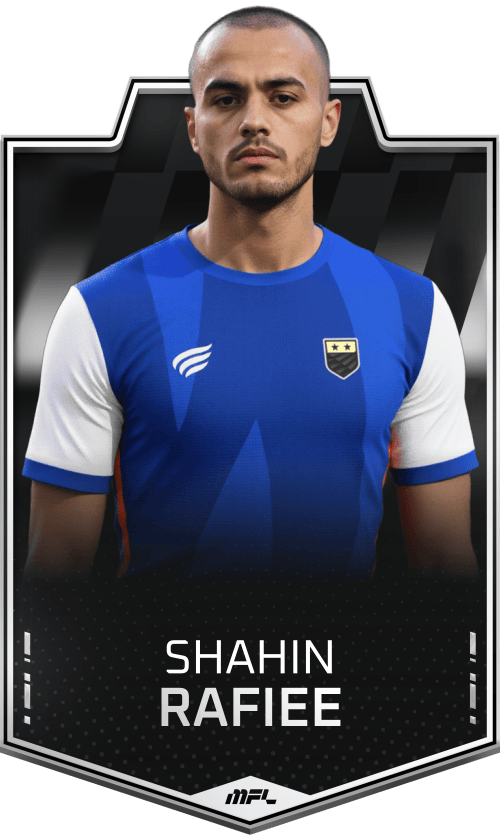 Shahin Rafiee asset