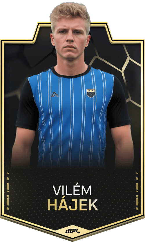 Vilém Hájek asset