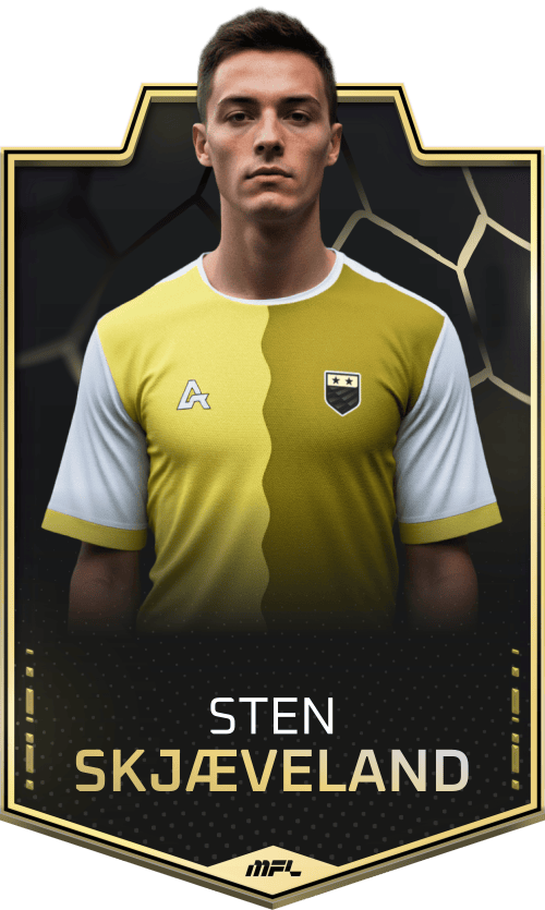Sten Skjæveland asset