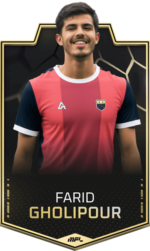 Farid Gholipour asset