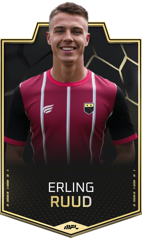 Erling Ruud asset