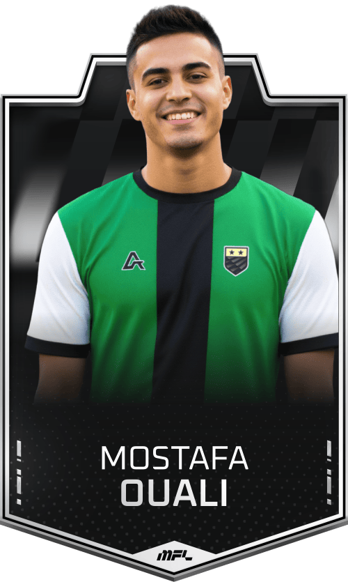 Mostafa Ouali asset