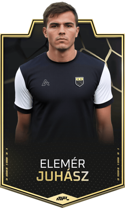 Elemér Juhász asset
