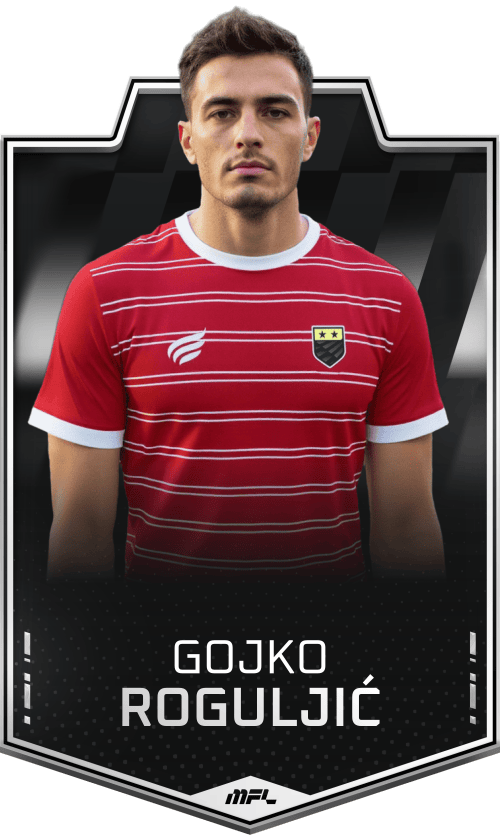 Gojko Roguljić asset