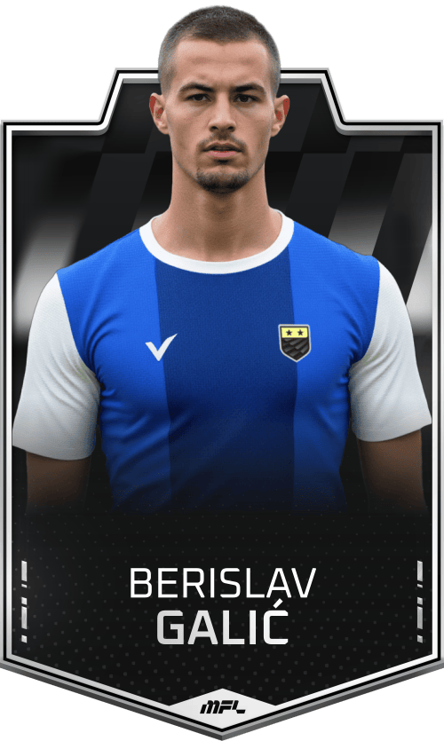 Berislav Galić asset