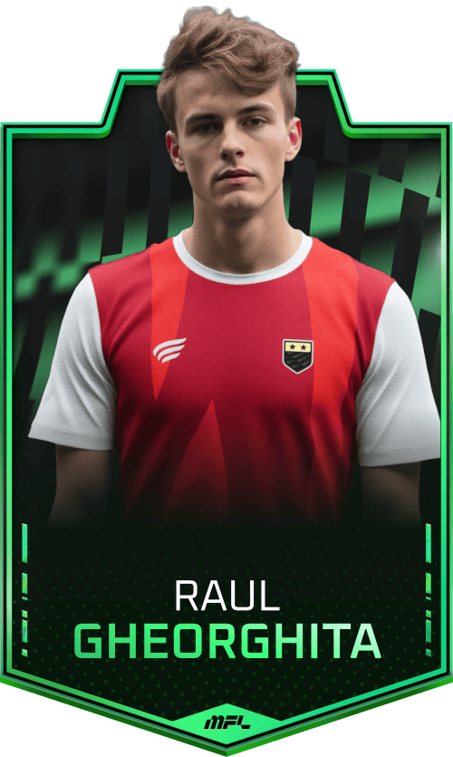 Raul Gheorghita asset