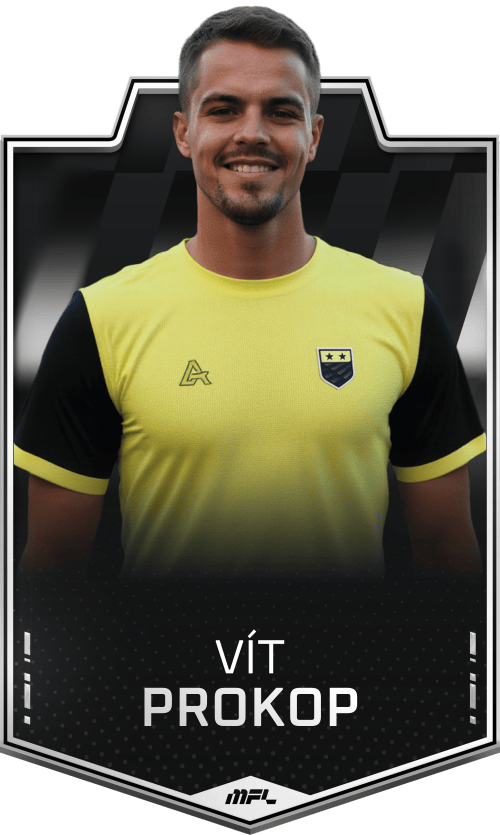 Vít Prokop asset