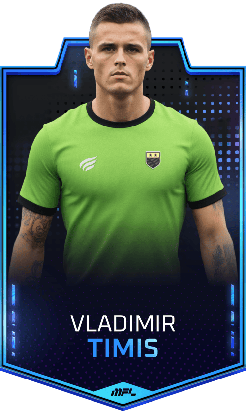 Vladimir Timis asset