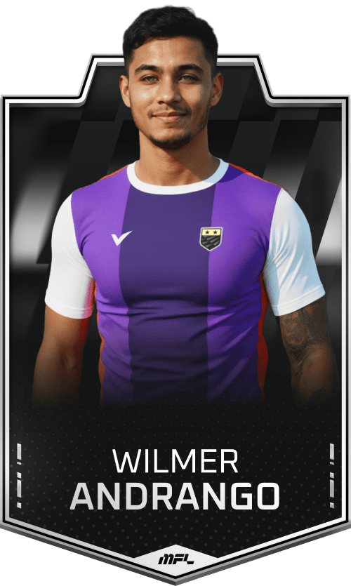 Wilmer Andrango asset