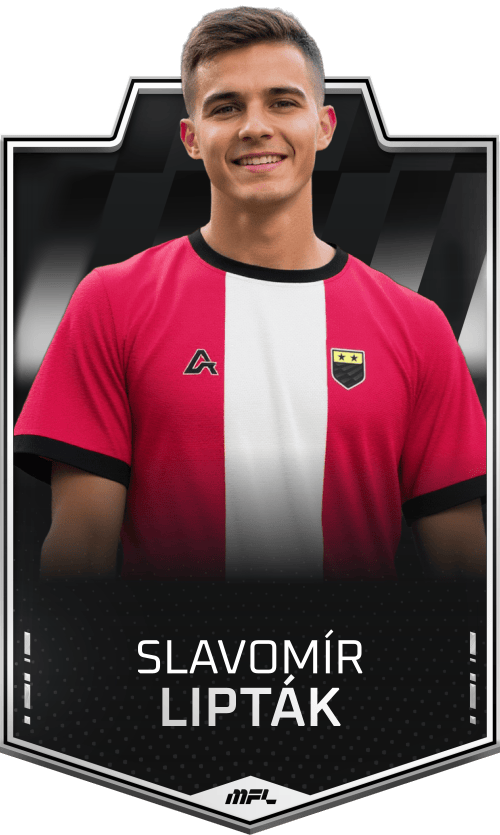 Slavomír Lipták asset