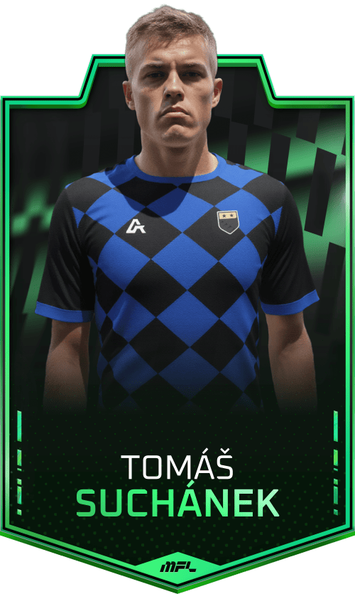 Tomáš Suchánek asset