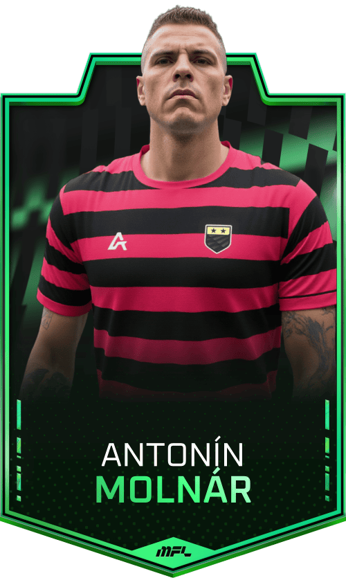 Antonín Molnár asset