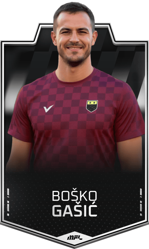 Boško Gašić asset