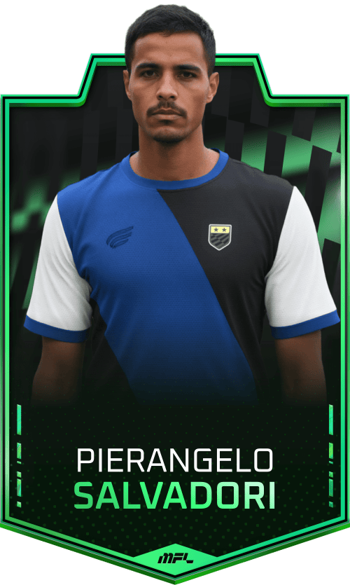 Pierangelo Salvadori asset