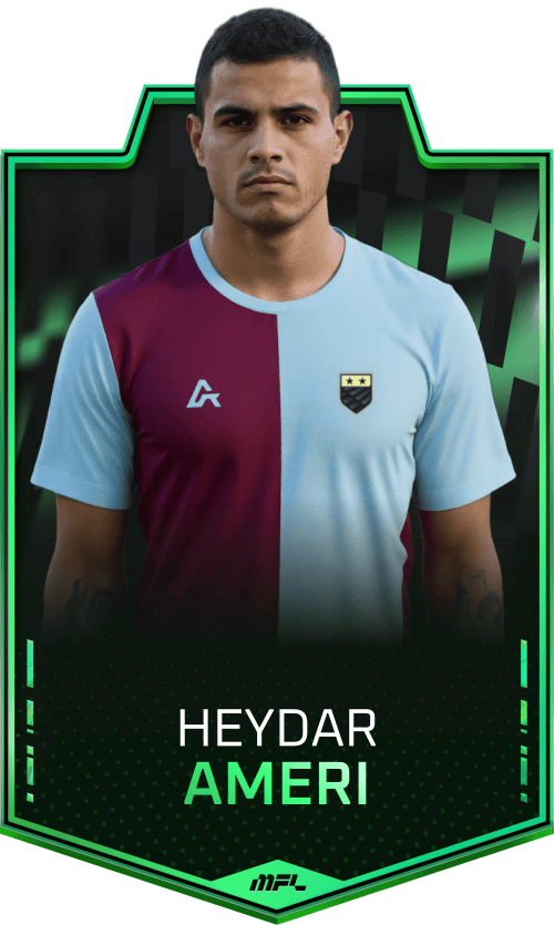 Heydar Ameri