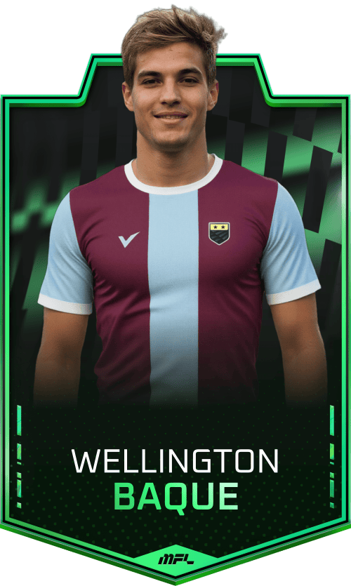 Wellington Baque asset