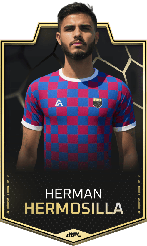 Herman Hermosilla