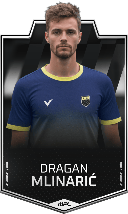Dragan Mlinarić asset
