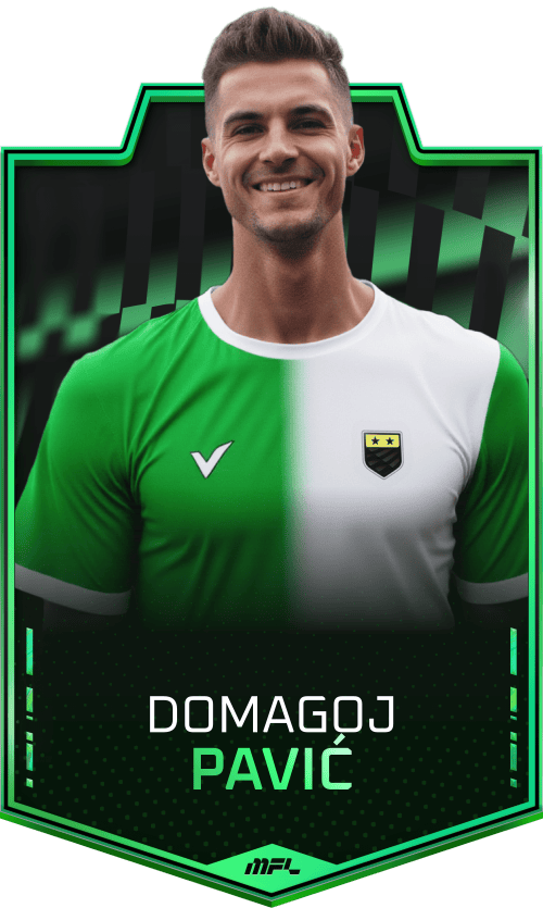 Domagoj Pavić asset