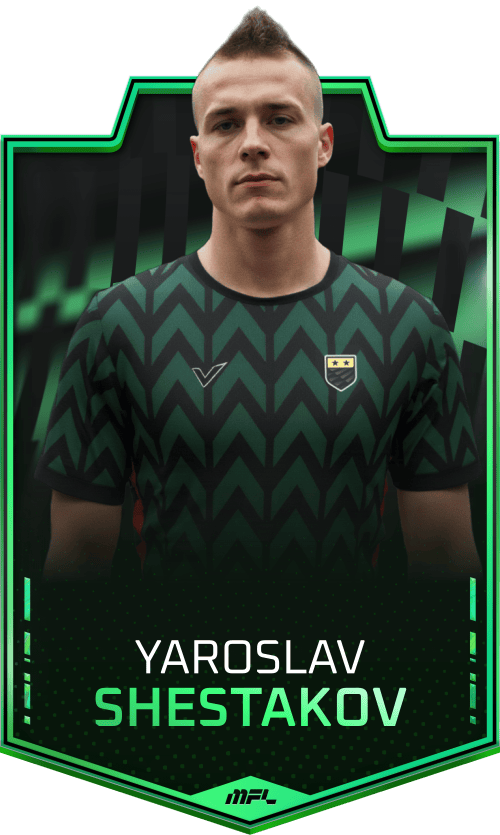 Yaroslav Shestakov asset