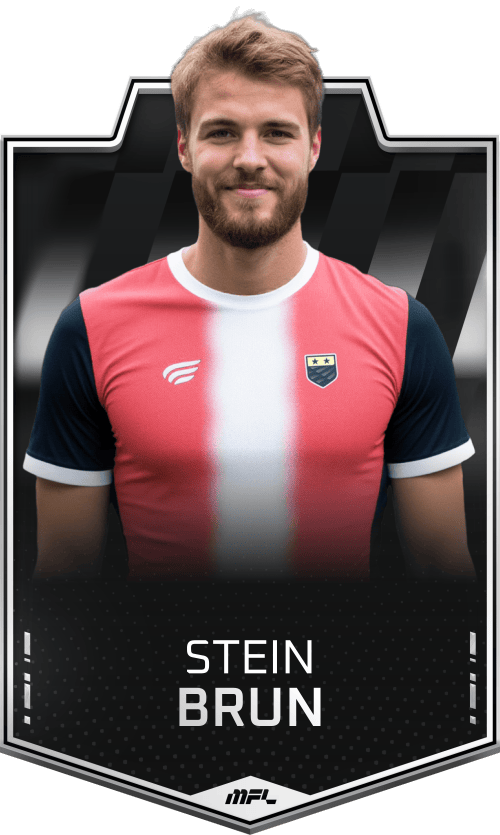 Stein Brun asset