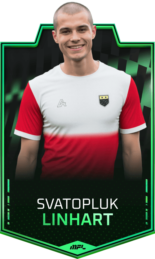 Svatopluk Linhart asset