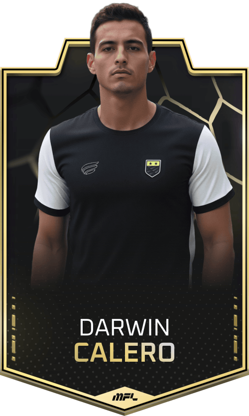 Darwin Calero asset