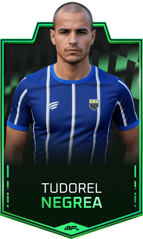 Tudorel Negrea asset