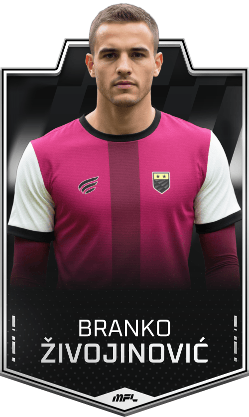 Branko Živojinović asset