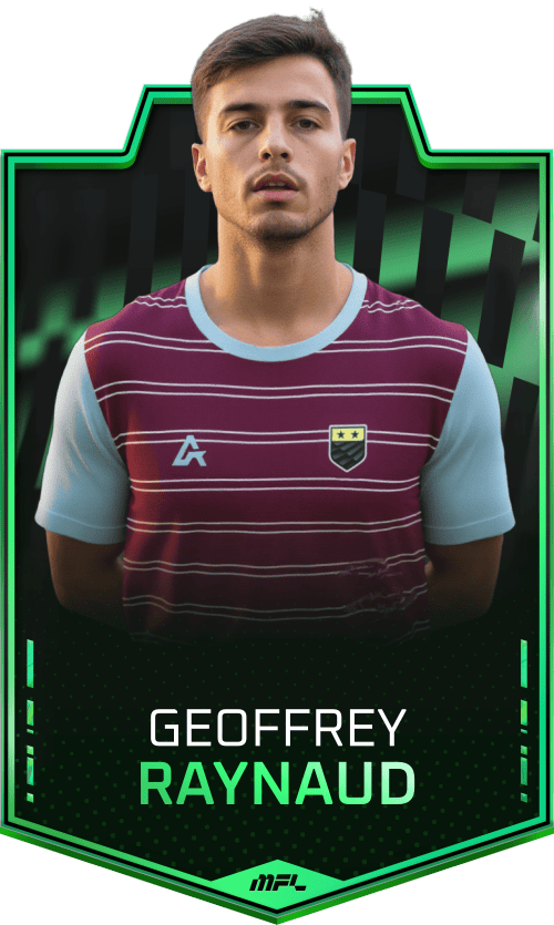 Geoffrey Raynaud asset