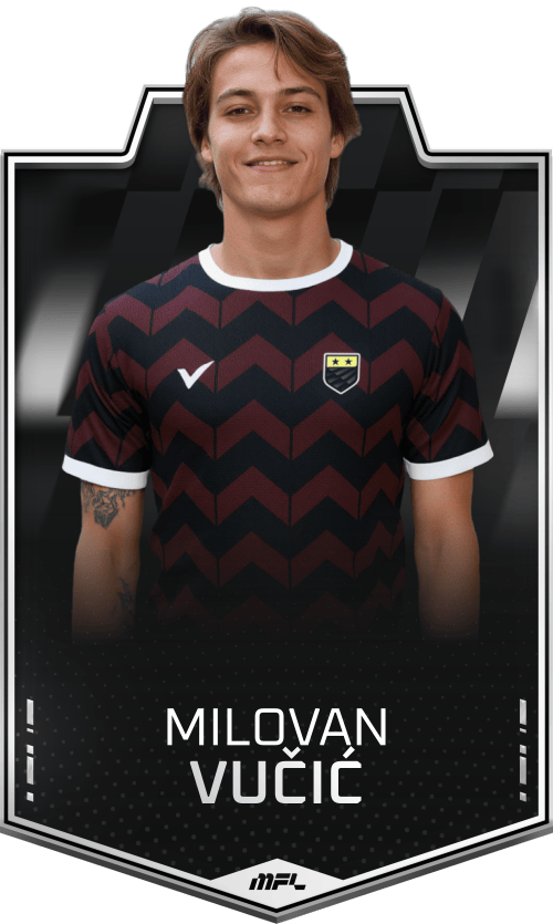 Milovan Vučić asset