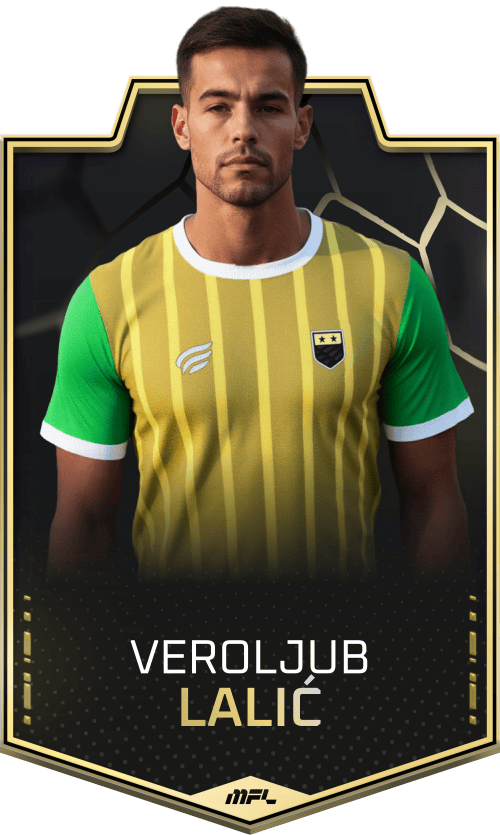 Veroljub Lalić asset