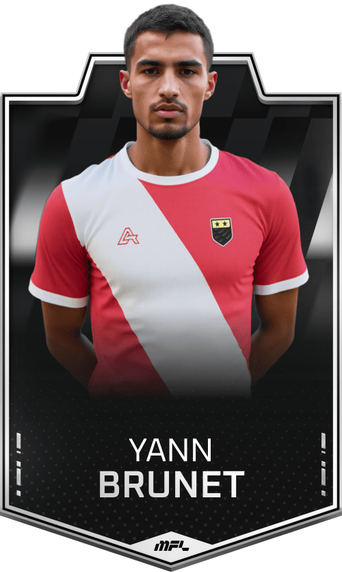 Yann Brunet asset