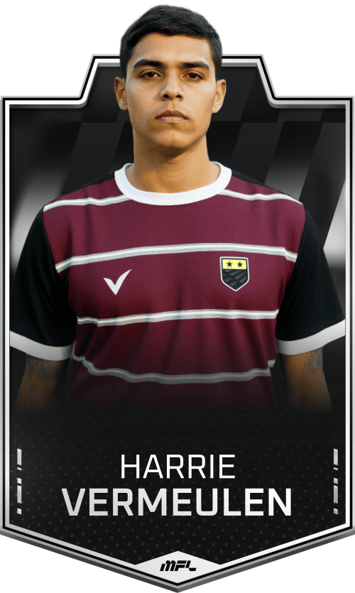 Harrie Vermeulen