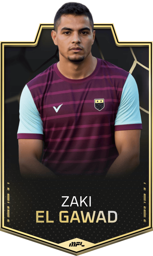 Zaki El Gawad asset