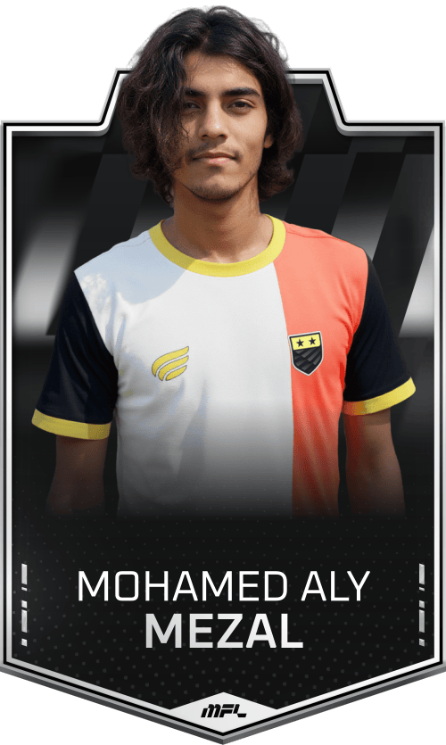 Mohamed Aly Mezal