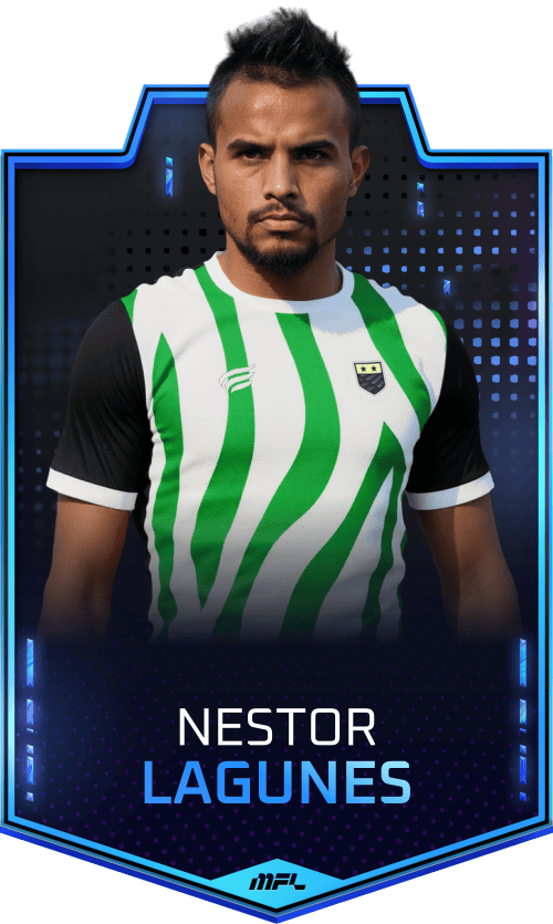 Nestor Lagunes asset