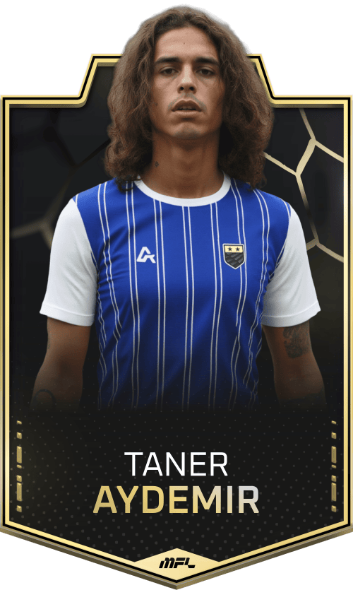 Taner Aydemir asset