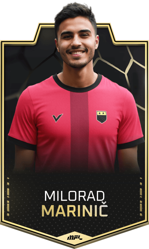 Milorad Marinič asset