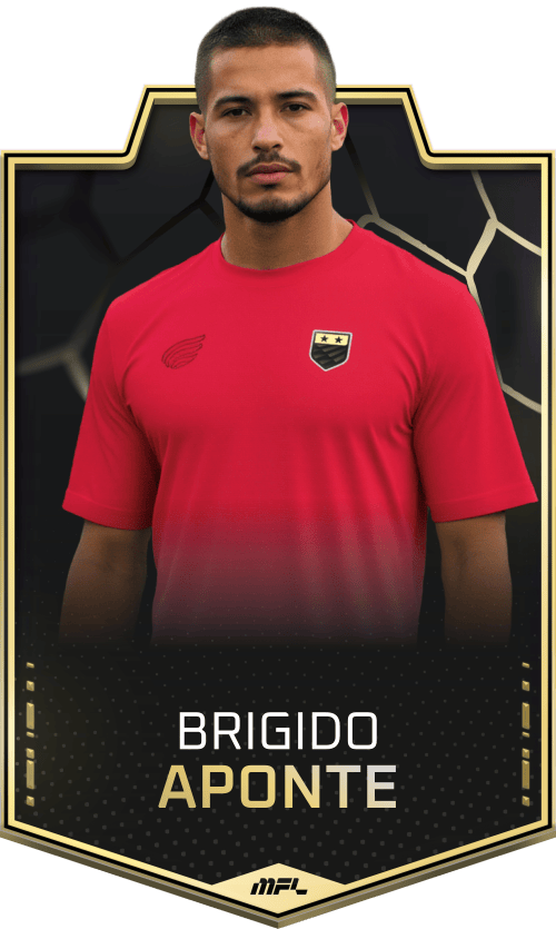 Brigido Aponte asset