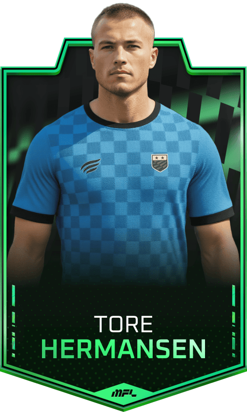 Tore Hermansen asset