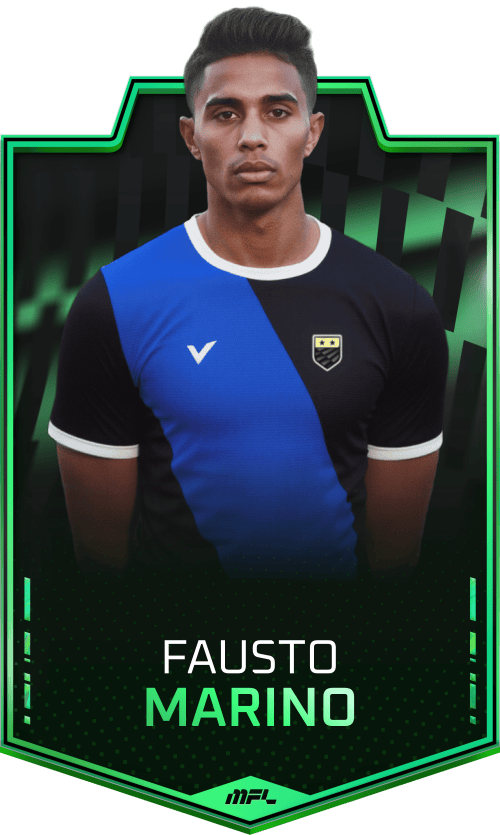 Fausto Marino asset