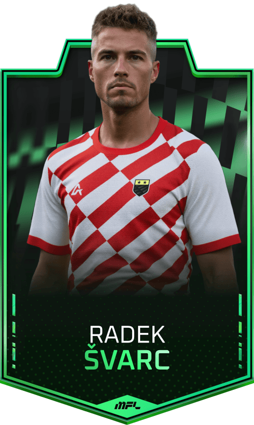 Radek Švarc asset