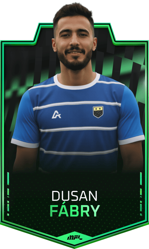 Dusan Fábry asset