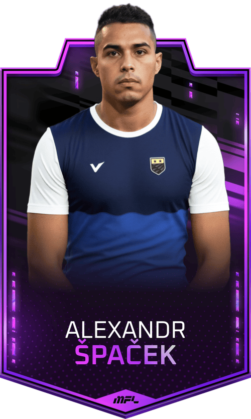 Alexandr Špaček asset
