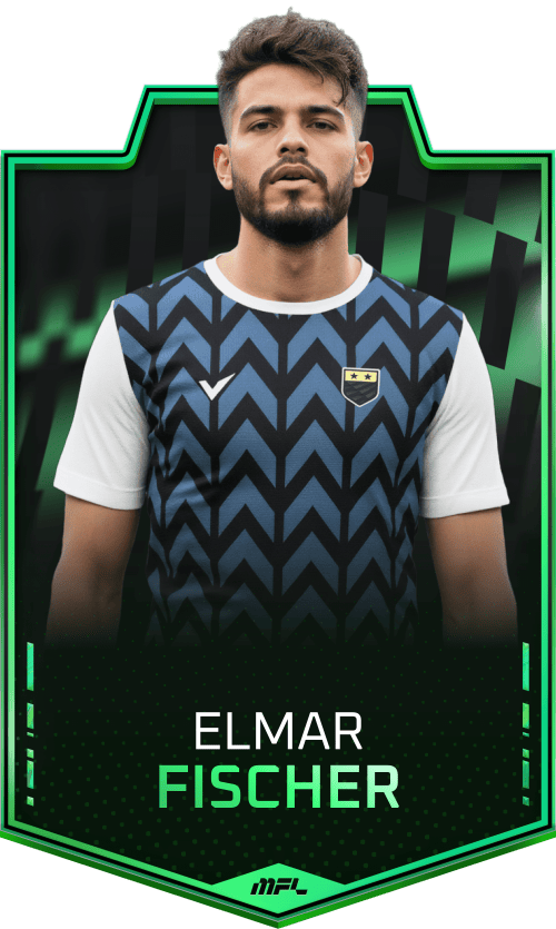 Elmar Fischer asset