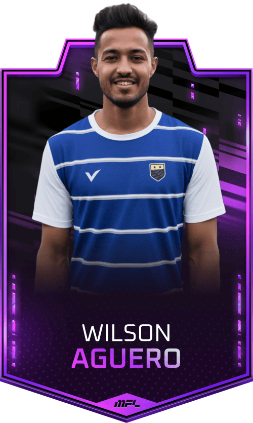 Wilson Aguero asset