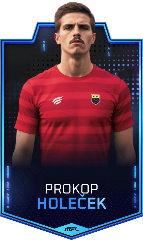 Prokop Holeček asset